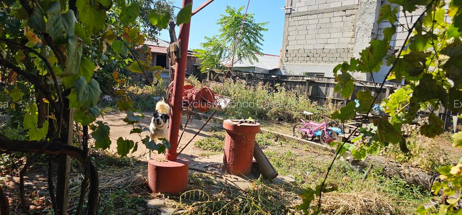 Oraș  Pantelimon-Ecaterina Teodoroiu, 754mp , casa veche locuibila - 4
