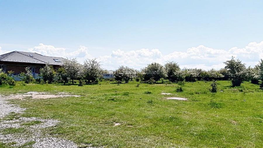 Sanpetru teren pentru dezvoltare imobiliara 4318mp, 55 euro/mp - 9