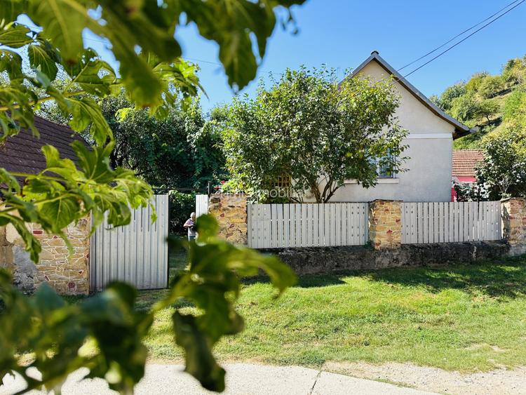 Casa de vacanta - Dognecea, CS - Teren 719 mp | Comision 0% - 2