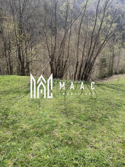 Un colt de rai in Apuseni I viața ca pe vremuri - 6