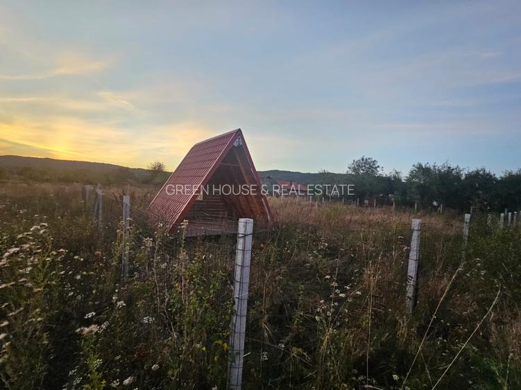 Teren localitatea Balata - 5