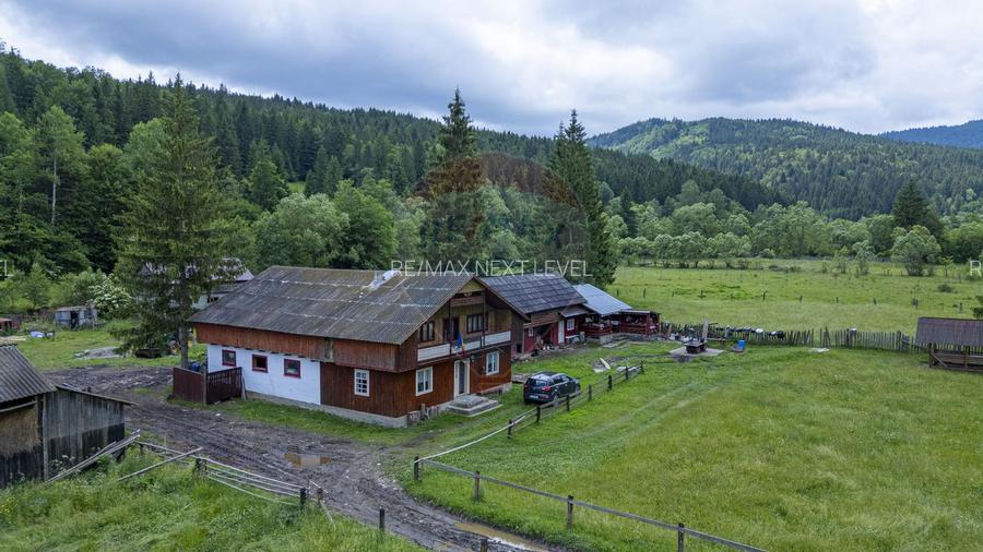 Ferma de vanzare, teren 21436 mp intravilan, Cosnea, Agas - 4