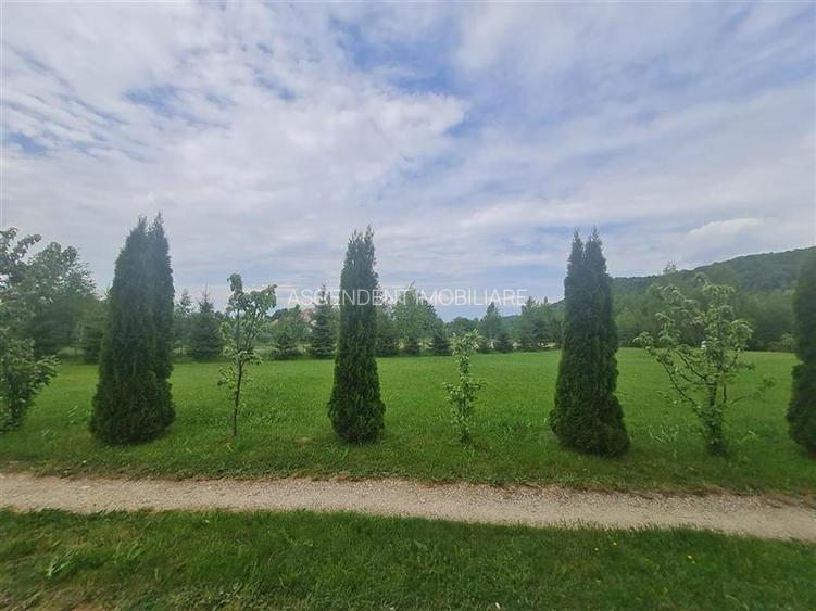 Refugiu idilic cu oglinda de apa, panorama montana, Glajerie/Rasnov, ideal mini - 38