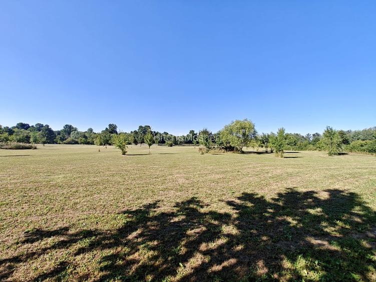 De vânzare: Teren 12.600 mp – Ghiroda - Comision 0% - 5