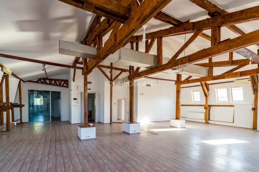 MANSARDA VERSATILA IN IMOBIL MULTUFUNCTIONAL, CISMIGIU! - 14