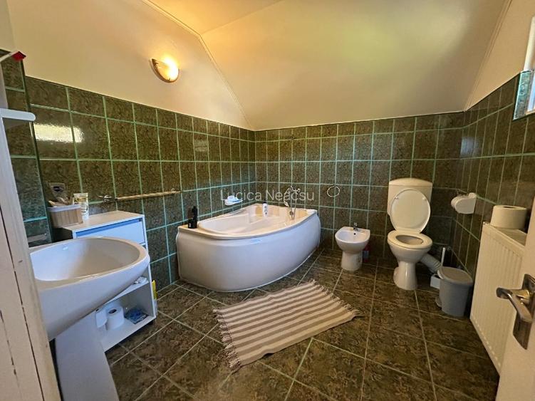 Direct proprietar, vand casa in orasel de munte, Brezoi, jud. Valcea - 8