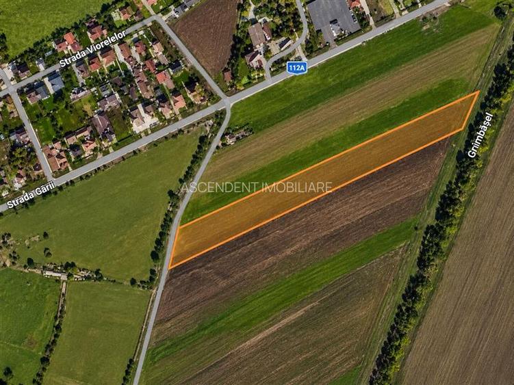 Teren intravilan 10.000 mp, parcelabil, plan, acces asfaltat, Bod, Brasov - 2