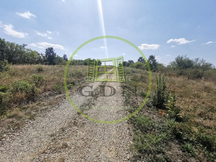 Teren intravilan de vanzare, 3.500 mp, cu front stradal de 21,5 ml - 3