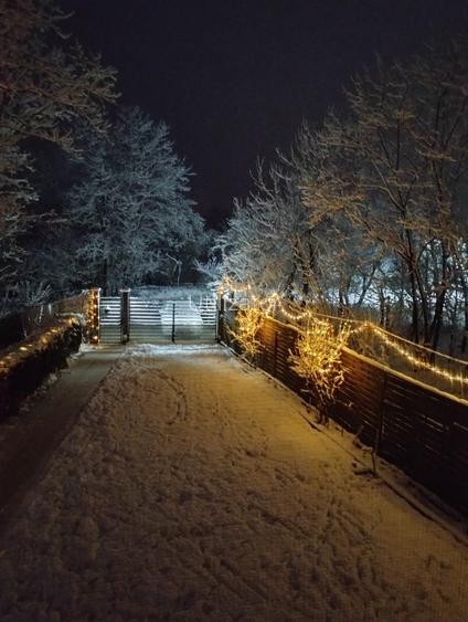 Vand casa in Lugojel  - 9