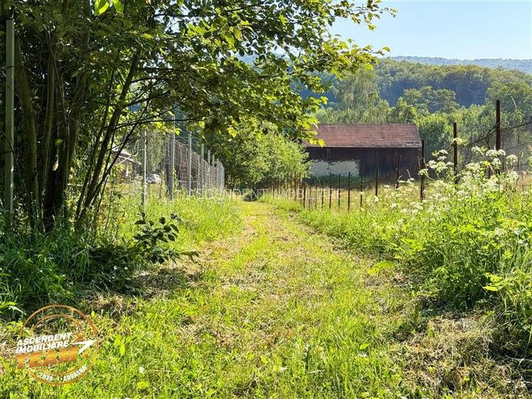 FILM! Teren extravilan pe 2.737mp,zona pretioasa,acces facil,Dobarlau,Covasna - 6