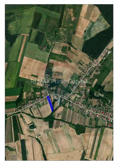 Casa de vanzare cu teren de 3000mp, sat Pagaia, Bihor - 8