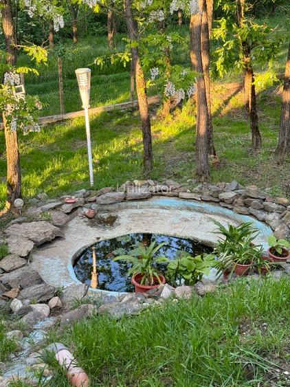 Vand casa in Lugojel  - 6