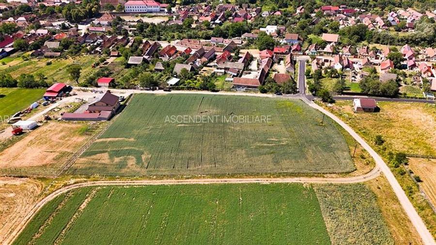 6 loturi casa Maierus,1.375mp,langa DN13, Doripesco,Brasov: 35min, zona verde:FI - 11