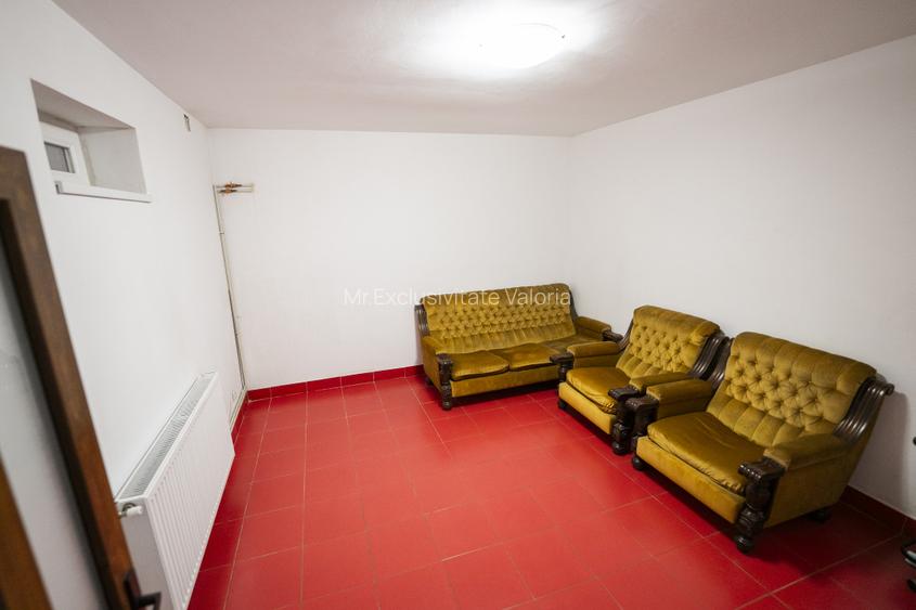 Demisol multifunctional central de inchiriat - zona Piata Mare - 4