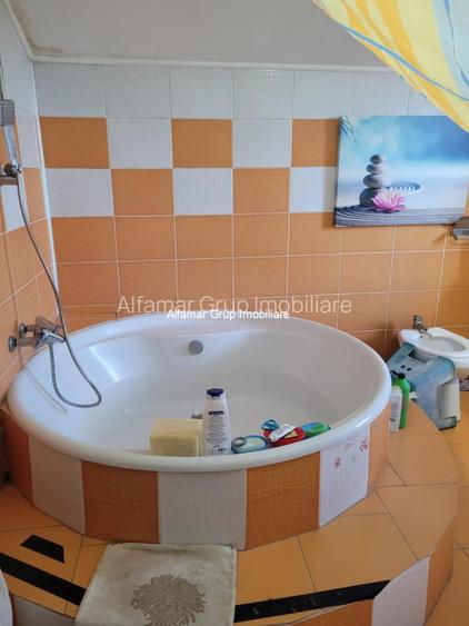 Vanzare proprietate cu 2 case Zurbaua- Dragomiresti Vale - 9