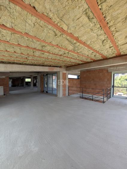 Spatiu comercial, 162mp, 5 parcari, zona Av. Iancu - 5