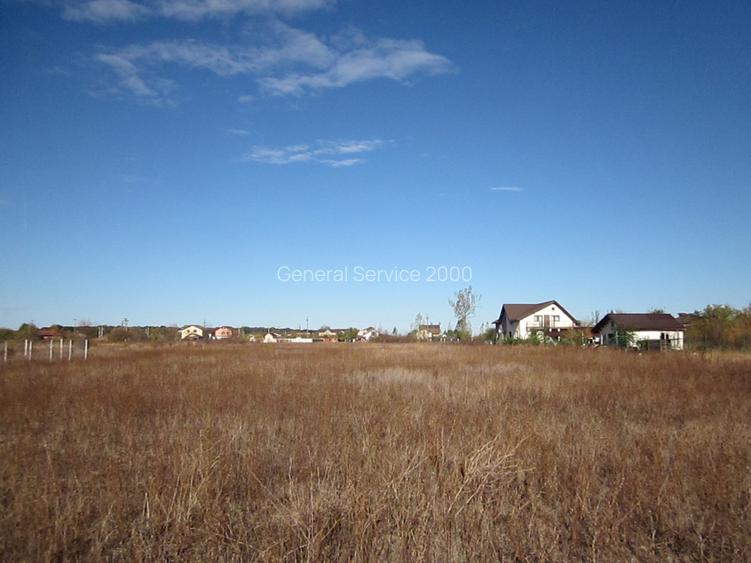 Domnesti-Teghes - 14