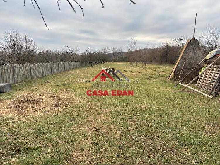 Teren intravilan in Brebu--2080mp--22e - 7