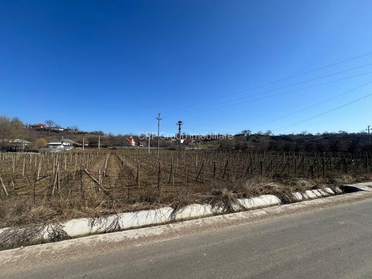 Teren intravilan 2700 mp, deschidere 41 ml, Movilita – Vrancea - 2