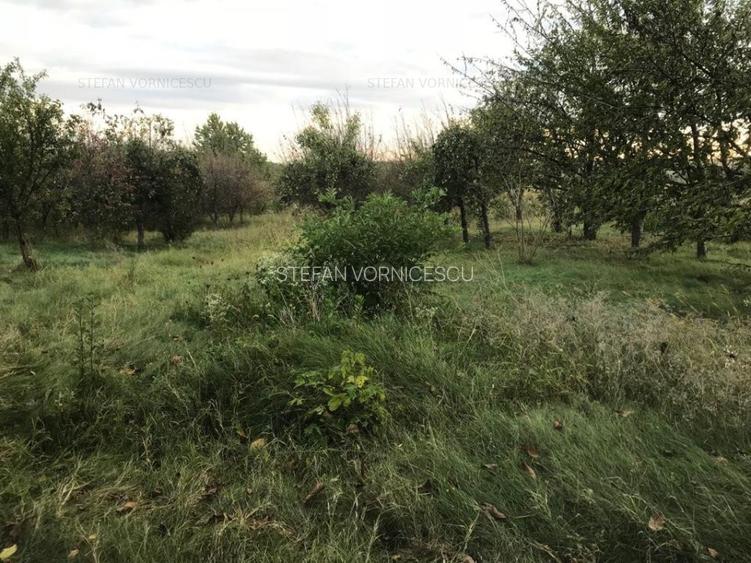 Teren la Strada EUROPEANA , CU TOATE UTILITATILE parcele de case - 13