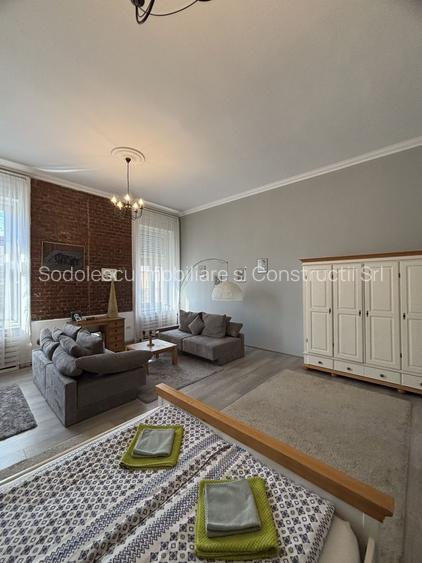 Apartament cu o camera în clădire istorică ,zona Maria - 22