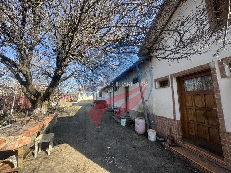 Proprietate deosebita in Filiasi - 21