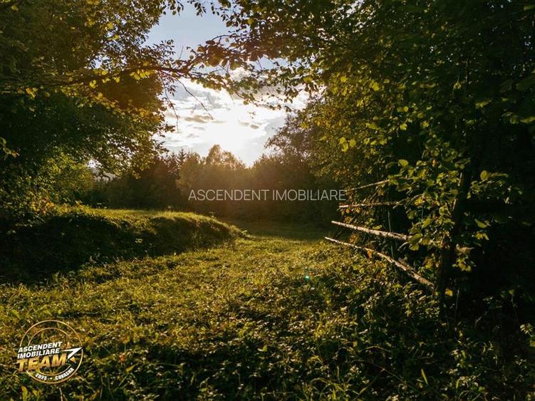 FILM! Teren extravilan, Ojdula, 4.800 mp, zona pitoreasca - 2