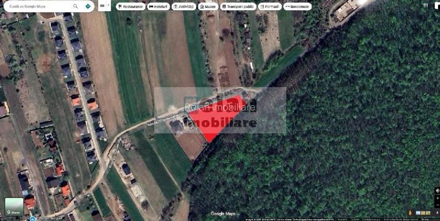 Snagov Crizantemelor Teren 3200mp, d 72ml, gaz, curent, asfalt, padure - 13