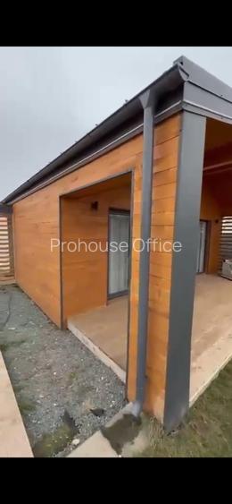 Refugiu Verde la 20 de Minute de București – Casa cu ponton la lac - 2