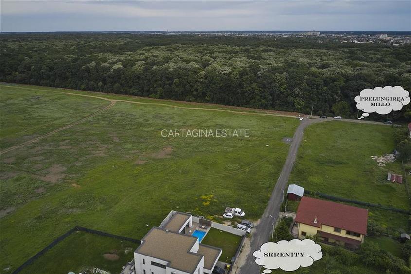 Pipera 10.000 mp ( Langa Padure ) - 3