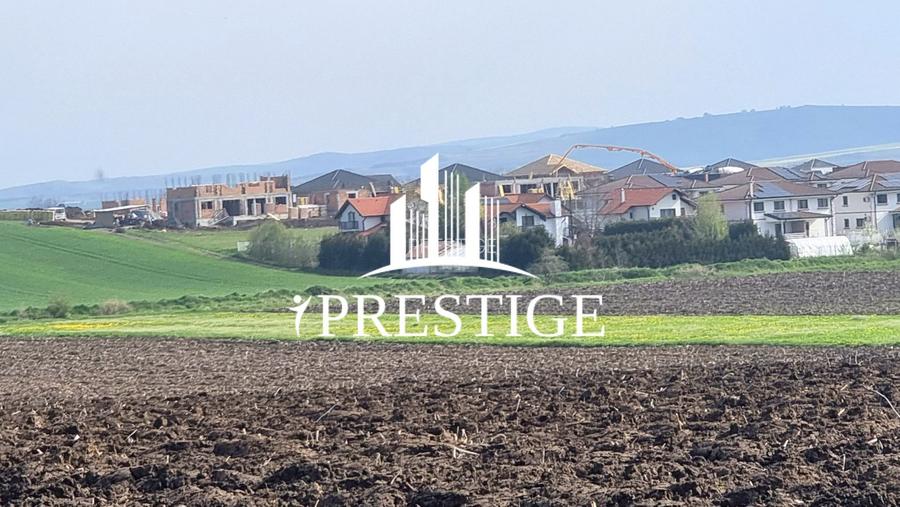 TEREN DE VÂNZARE ȘURA MICĂ 10.000 MP | 2 FRONTURI STRADALE, INVESTIȚIE - 3