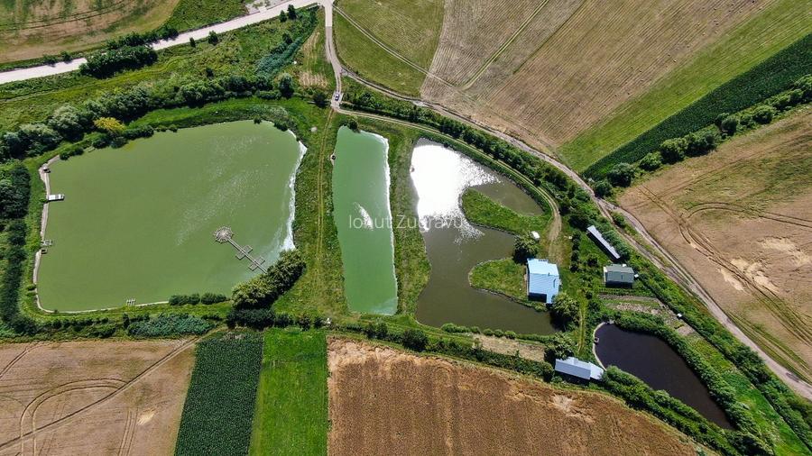Proprietate spectaculoasă de 31.500 mp, cu iazuri și case locuibile - 6