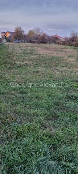 Teren de vanzare Paulesti - 4