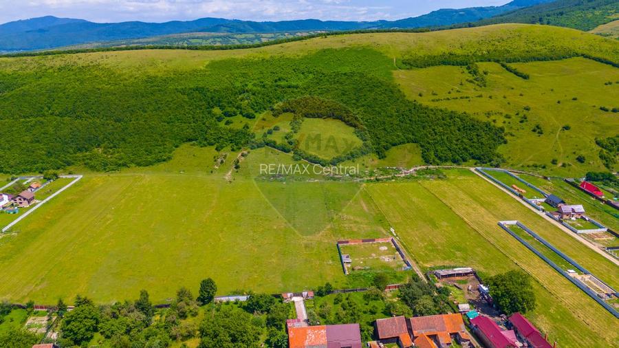 Teren 612mp Zizin / Strada Petofi Sandor - 7