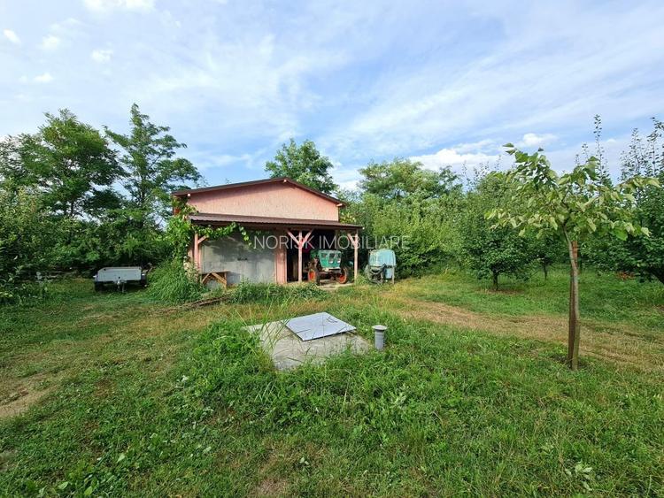 Vila + Afacere 15.000mp Clinceni - 2