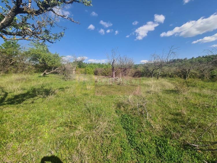 Teren de vanzare in Campina in zona retrasa - 4