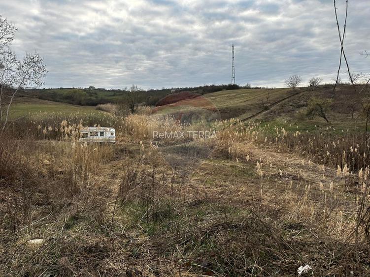 Teren cu panorama superba în Berchezoaia + bonus rulota - 7