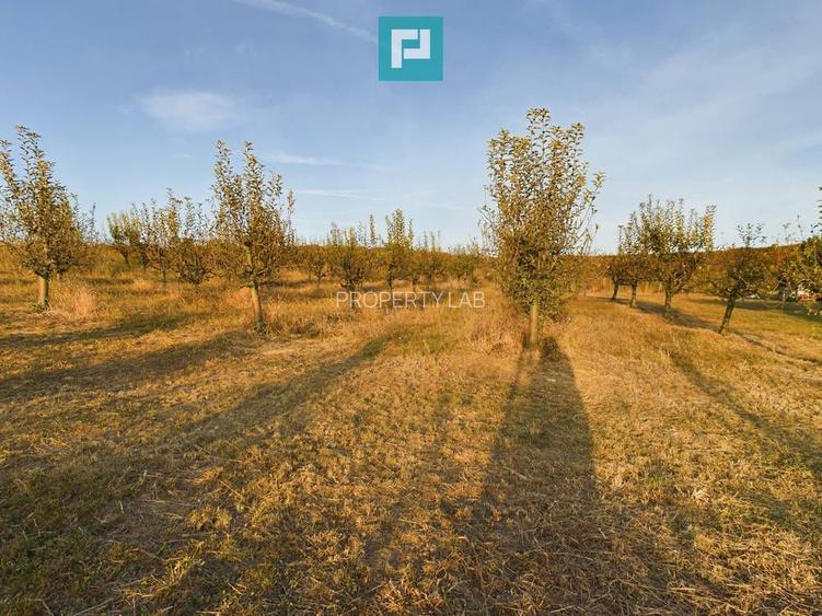 Pivnițele Birăuaș D.O.C Miniș - RATE FĂRĂ DOBÂNDĂ - 34