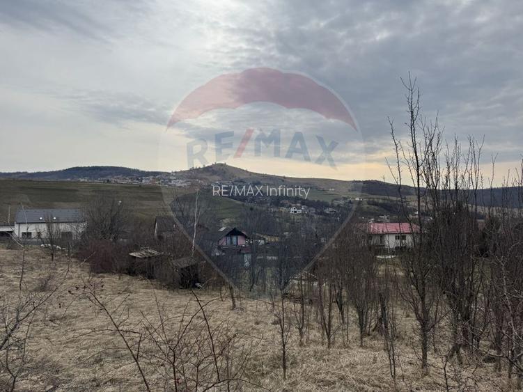 Teren intravilan 2307 mp în Salicea, zona premium, aproape de Cluj - 13