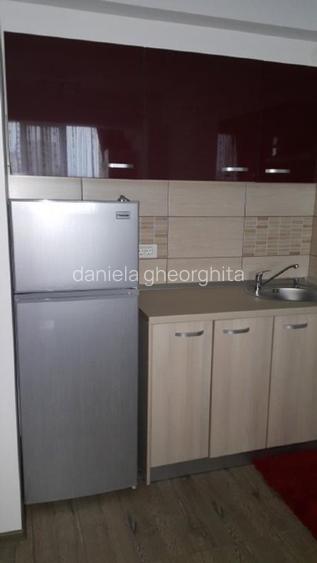 Inchiriere apartament zona Universitate, campus - 8