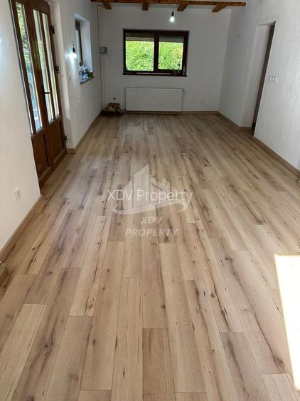 Pensiune/ Vila Valea Avrigului - 10