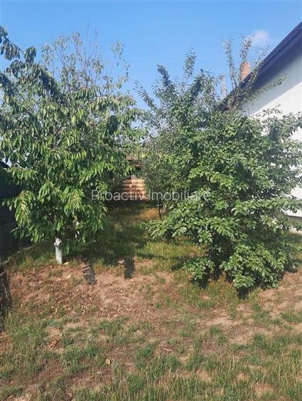 Casa individuala, Burdujeni, C-4824 - 7