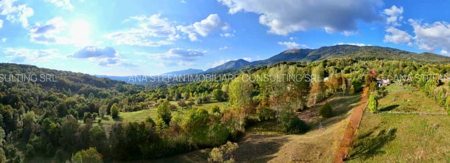 Teren intravilan+extravilan / Corbeni-Arges - 5