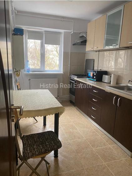 TOMIS NORD CIRESICA 2 CAMERE 450 EURO TERMEN LUNG - 7