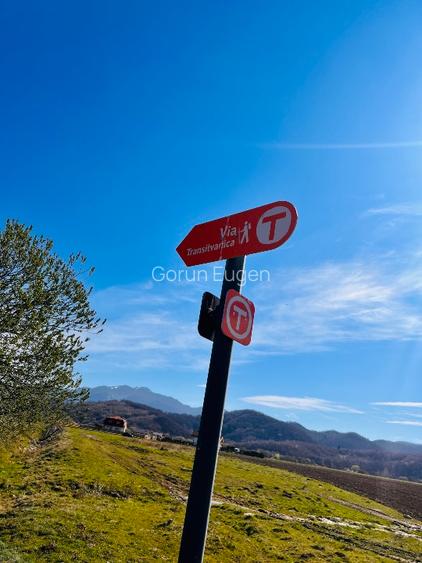 Teren intravilan Râșnov – Glejerie  5 parcele x 1000 mp  Capăt Str. Greierilor - 16