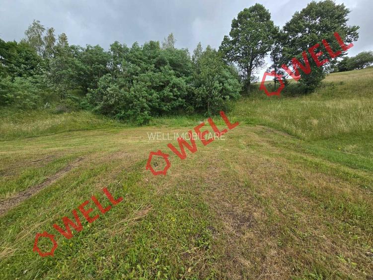 De vânzare teren extravilan loc. Sărămaș! - 8