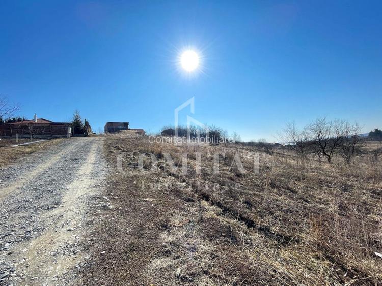 Teren cu potential de investitie 2430 mp si drum de acces - 3