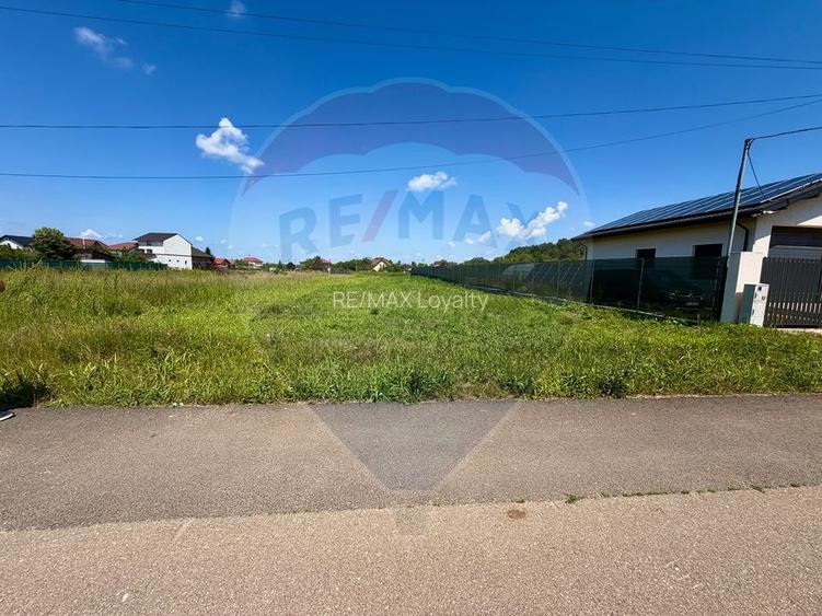 De vanzare Teren intravilan 1000 mp, langa padure, Moara Vlăsiei - 6