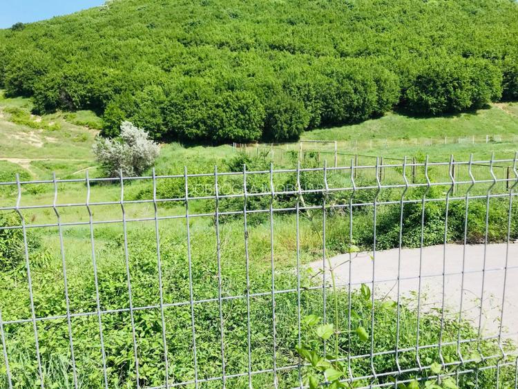  BABADAG -TEREN INTRAVILAN , 1000 MP - 4