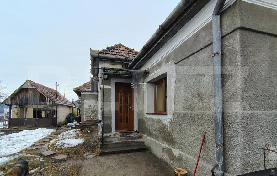 Proprietate cu 2 case, una fiind traditionala, Dezmir  - 6